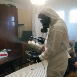 Дезинфекция от клопов в Зее