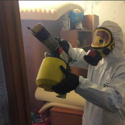 Уничтожение клопов в квартире. Зея